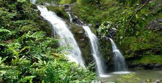 Einer von ganz vielen Wasserfällen, die es auf den hawaiianischen Inseln zu finden gibt.