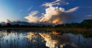 Die Everglades sind als Sumpfgebiet bekannt, es handelt sich jedoch um einen sehr langsam fließenden Fluss.