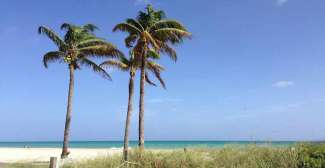 Florida hat viele schöne Strände zu bieten, besonders der Miami Beach ist sehr beliebt.