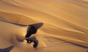 Great Sand Dunes National Park, Alamosa