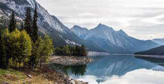 Im Jasper Nationalpark sehen Sie unter anderem zahlreiche Wildtiere, wunderschöne Seen und schneebedeckte Berge.