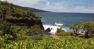 Maui bietet traumhafte Strände und zahlreiche Naturwunder.
