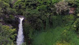 Maui hat viele wunderschöne Wasserfälle zu bieten.
