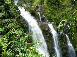 Auf Kauai sehen Sie verschiedene Wunder der Natur, insbesondere Wasserfälle