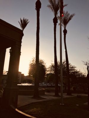 Scottsdale - Arizona