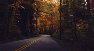 Straße - Great Smoky Mountains