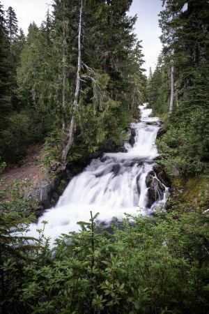 Wasser im Mount Rainier Nationalpark