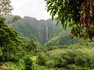 Hiilawe Falls ist Hawaiis höchster Wasserfall im Norden von Big Island.