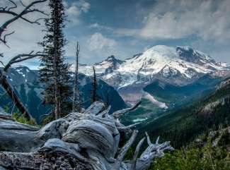 Der Mount Rainier ist ein aktiver Vulkan im Mount Rainier National Park.