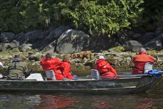 Teilnehmer einer Bärenbeobachtungstour im Boot.
