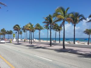 Miami Boulevard