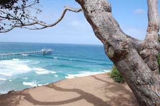 La Jolla ist ca. 20 km von San Diego entfernt und bietet eine malerische Bucht.