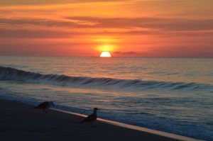 Sonnenuntergang Cape Cod