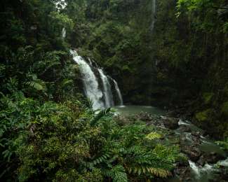 Diese Wasserfälle befinden sich im dichten Bambuswald an einer Schlucht im Haleakala Nationalpark.