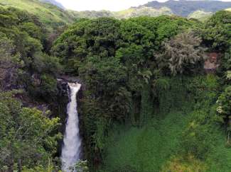 Wunderschöne Wasserfälle sind typisch für Maui