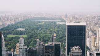 Im berühmten Central Park kann man sich für einige Stunden vom Alltagsstress in Manhattan erholen.