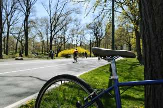 Fahren Sie mit einem Fahrrad durch den Central Park.