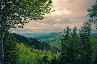 Die Great Smoky Mountains liegen an der Grenze zwischen North Carolina und Tennessee.