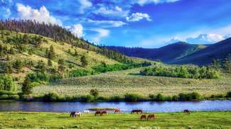 Landschaft in Wyoming