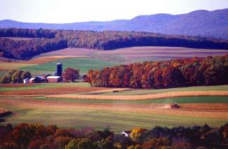 Hügelige, abwechslungsreiche Landschaft in Pennsylvania.