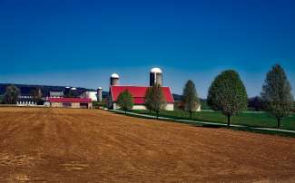In Pennsylvania werden Sie auf Ihrer Rundreise viele dieser Rotdachfarmen sehen.