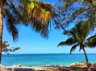 Genießen Sie in Key West die schöne Aussicht auf das Meer und vergessen den Alltag.