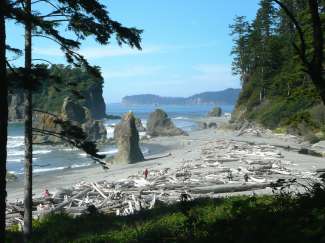 Raue Küste und malerische Strände im Olympic National Park in Washington, USA.