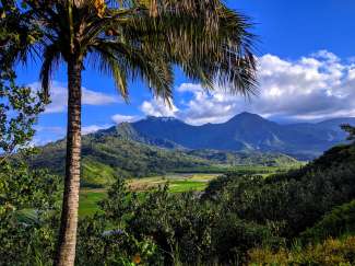 Kauai wird wegen der reichen Flora und Fauna auch Garden Isle genannt.