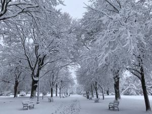 Winter im Washington Park