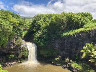 Besichtigen Sie währen Ihrer Road to Hana Tour diese berühmten Wasserfälle.