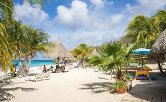 Genießen Sie das Wehen der Palmen an einem der schönen Strände von Curacao.