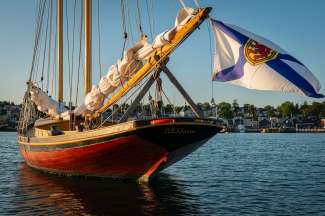 Im Hafen von Lunenburg können Sie eine Vielzahl von Segelschiffen bewundern.