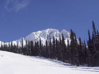 Unter anderem bietet Whistler ein schönes Skigebiet.