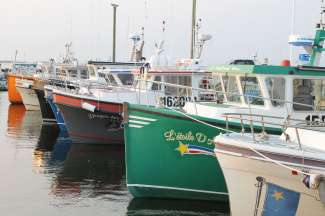 Die Fischerei spielt in New Brunswick wie auch in den anderen maritimen Provinzen eine große Rolle.