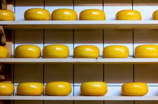 Willamette Valley Cheese stellt handgemachten Bauernkäse her