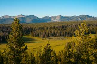 Groene natuur in Montana