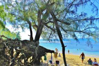 Beliebter Strand auf Kauai