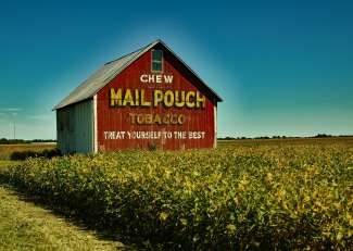 Mail Pouch Tobacco Barn/ Indiana